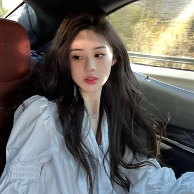 纽约鼠患 封面